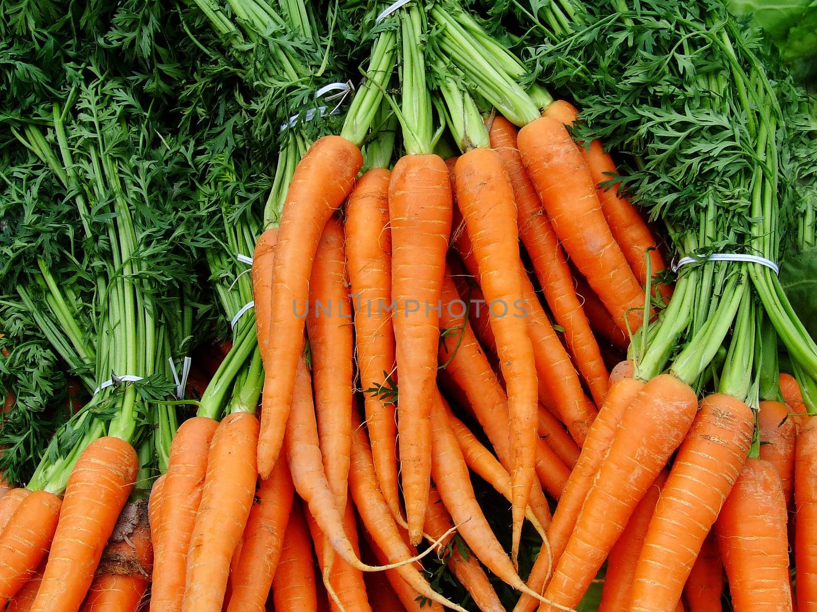 Carrots