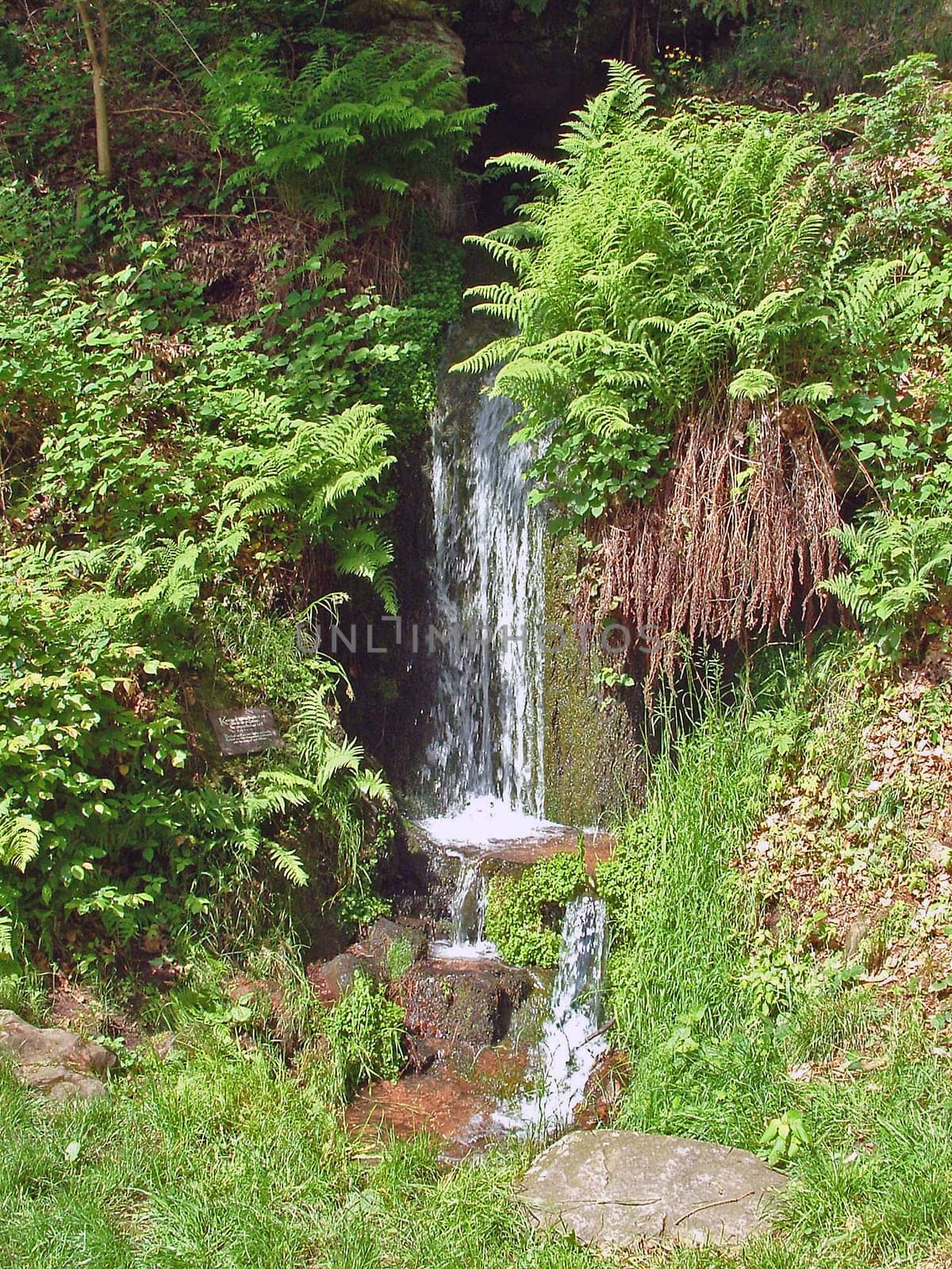 Siegfriedsquelle