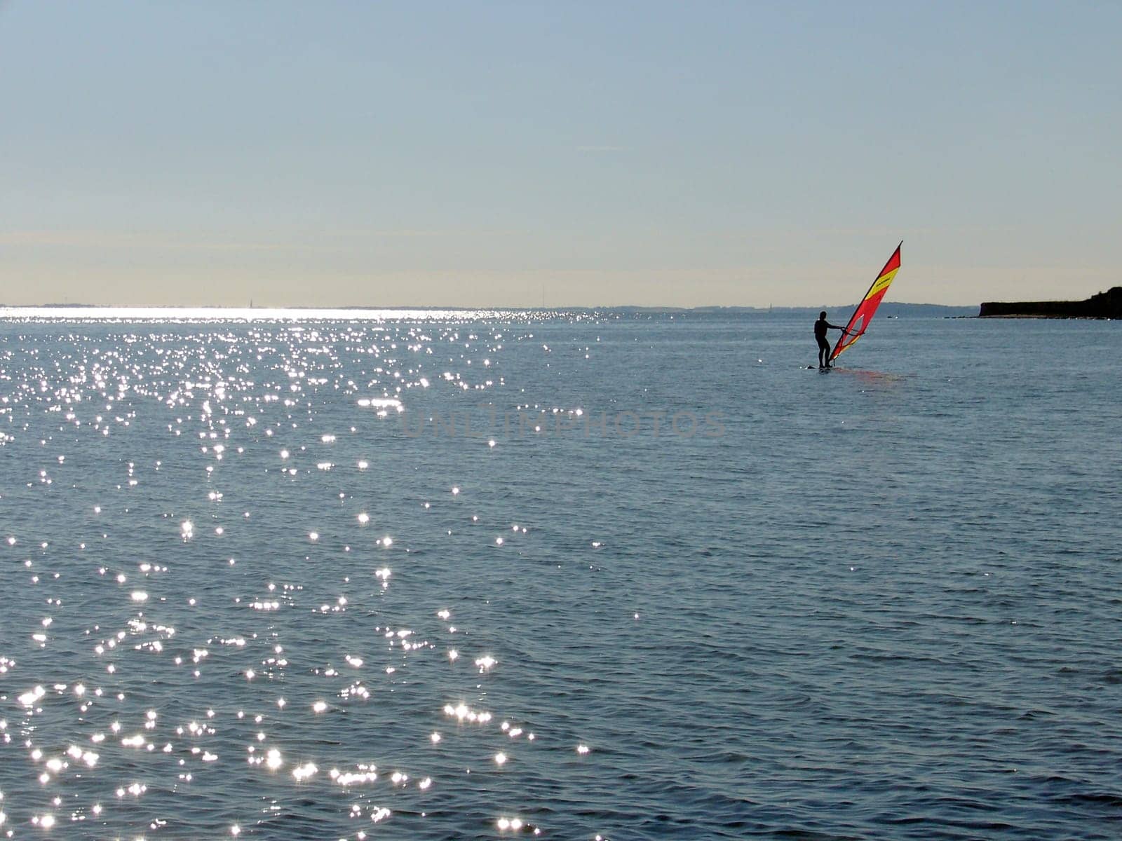Surfer