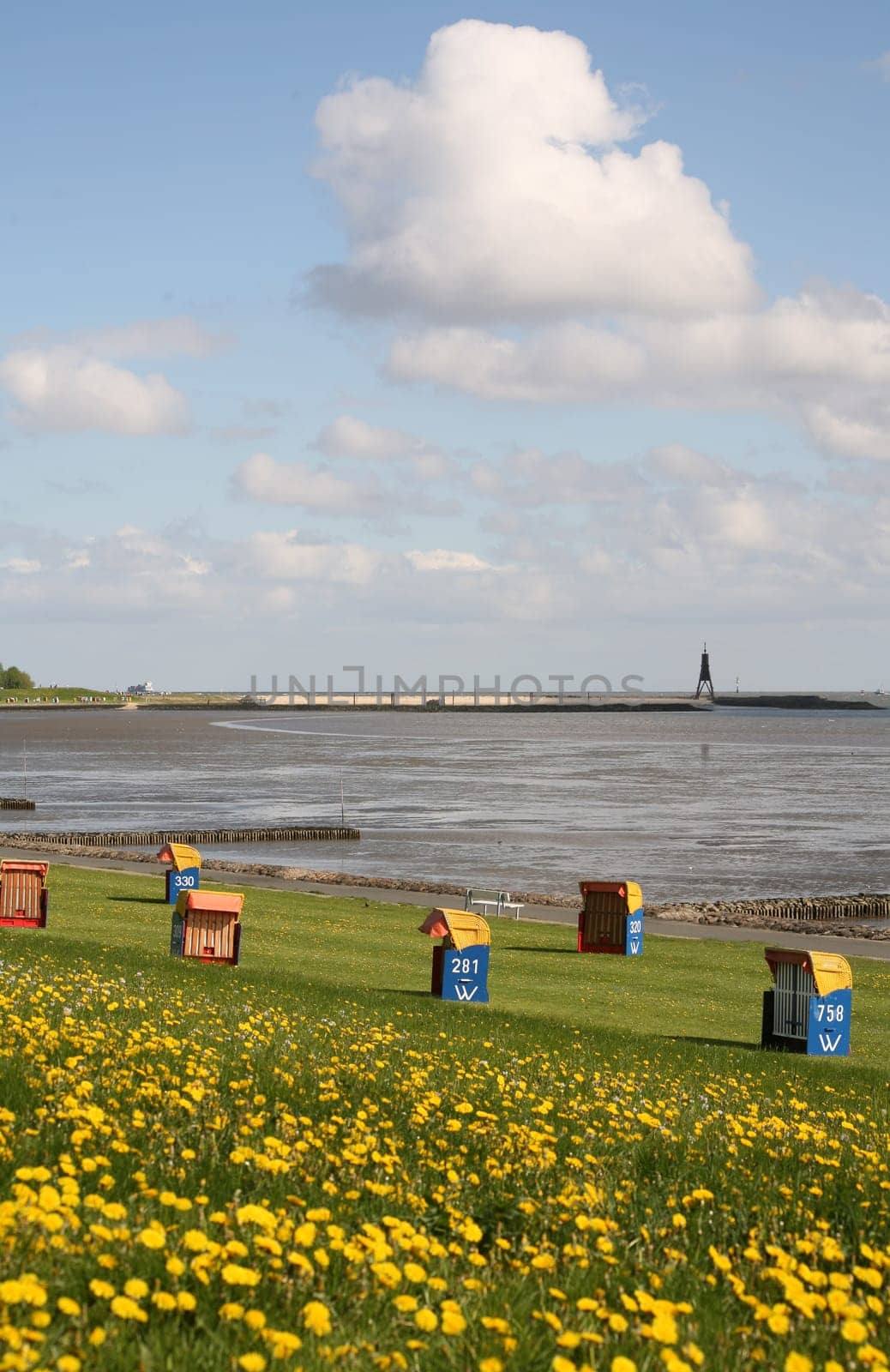 Lonely beach chairs on the green beach of Cuxhaven-Grimmershörn