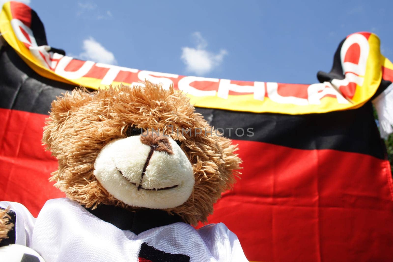 Germany is as strong as a bear 2553