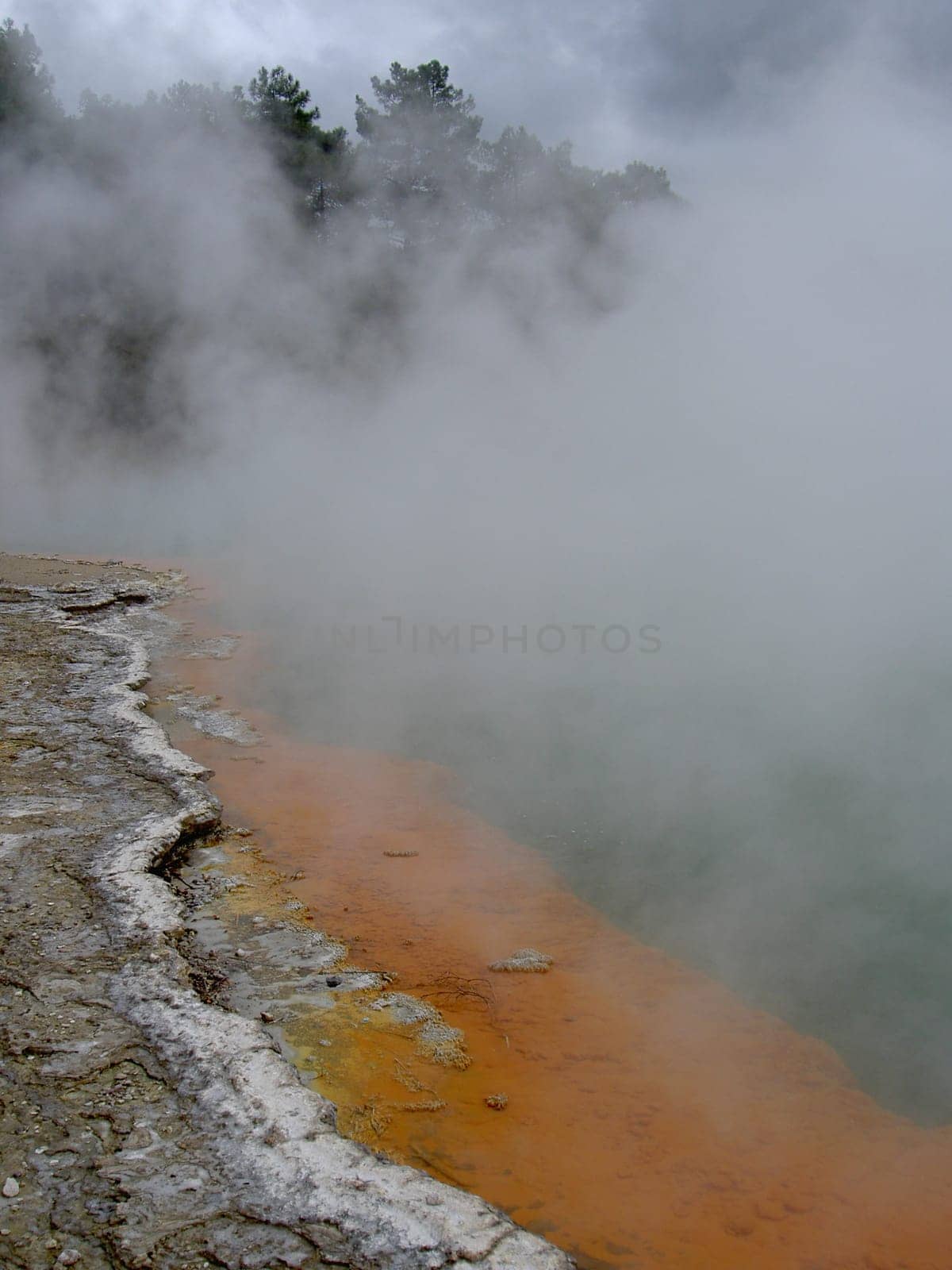 Champagne Pool