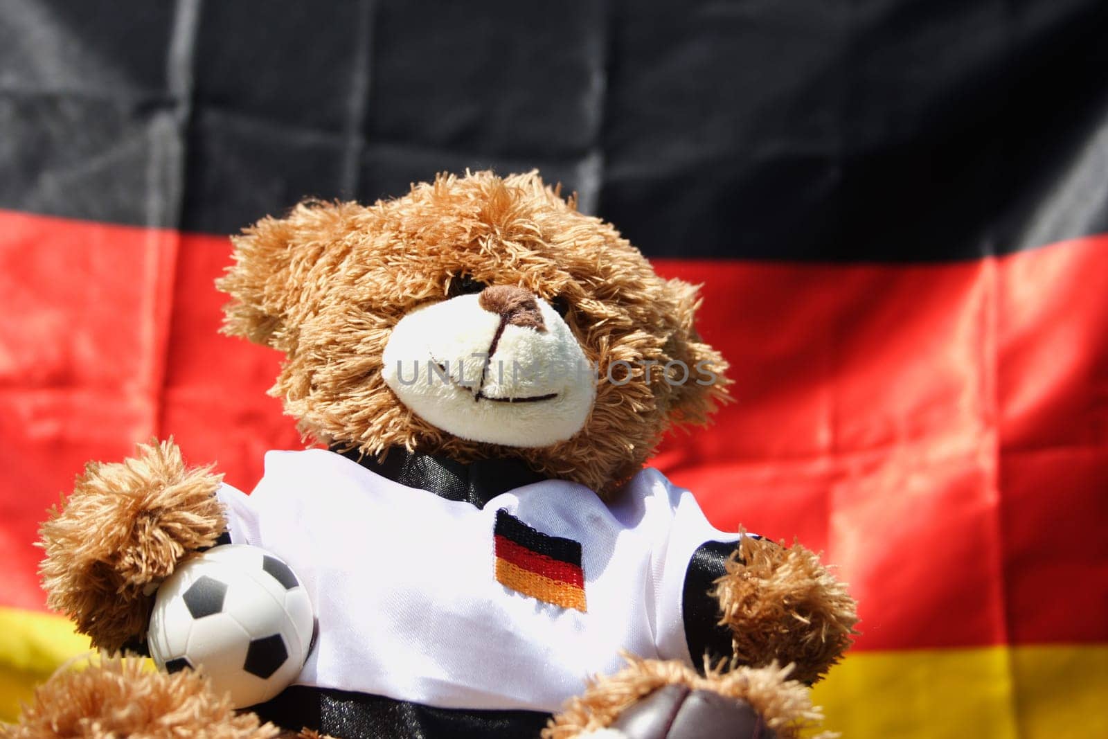 Deutschlandbär 2563