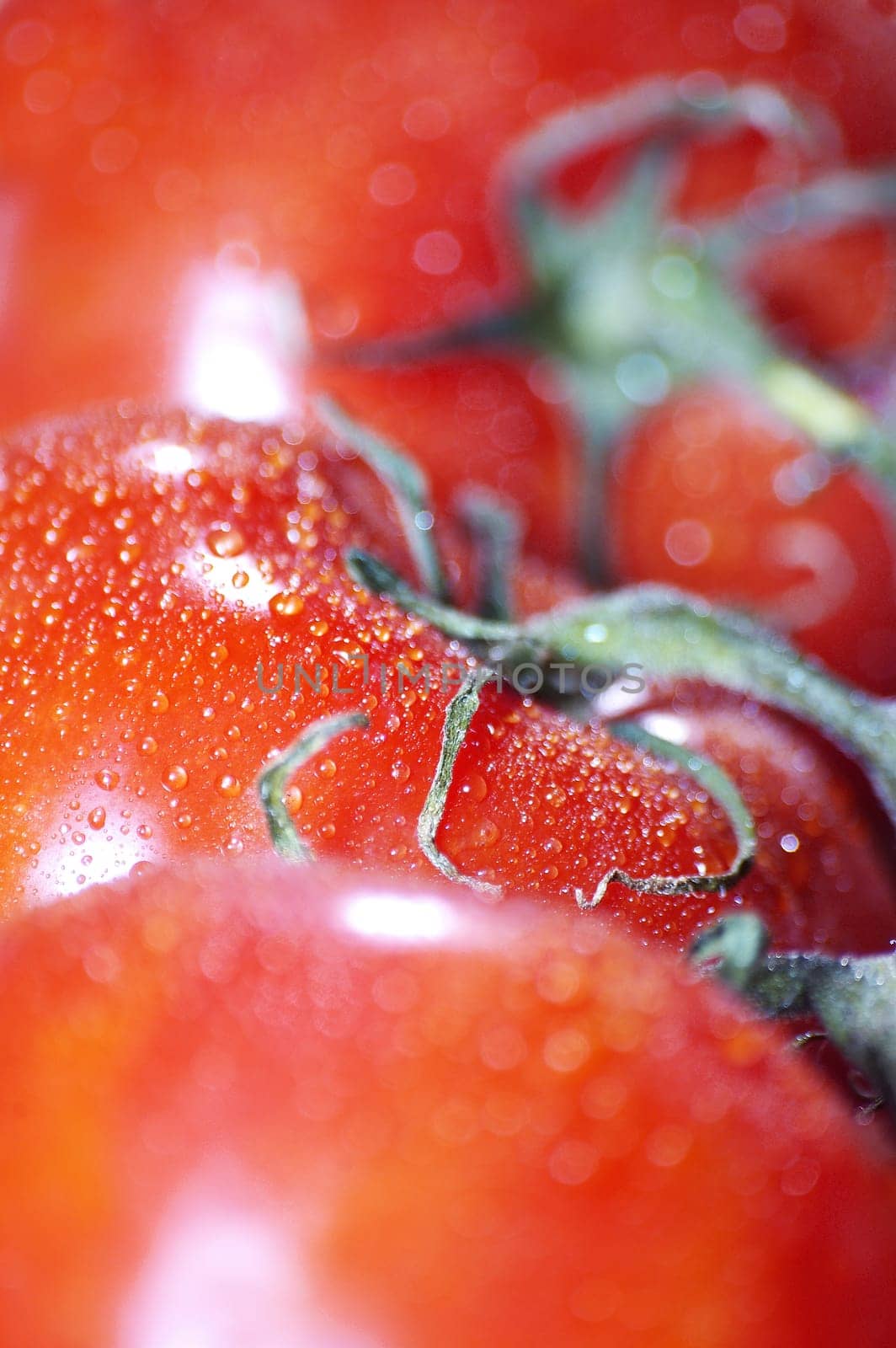 Tomatoes