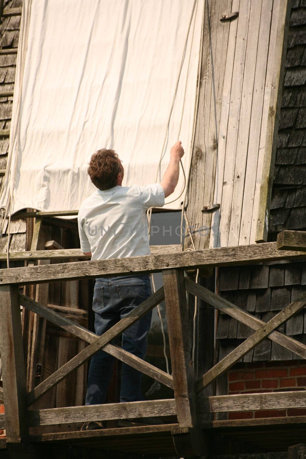 Because of the strong wind,the miller shortens the covering of the blades of an old cap windmill