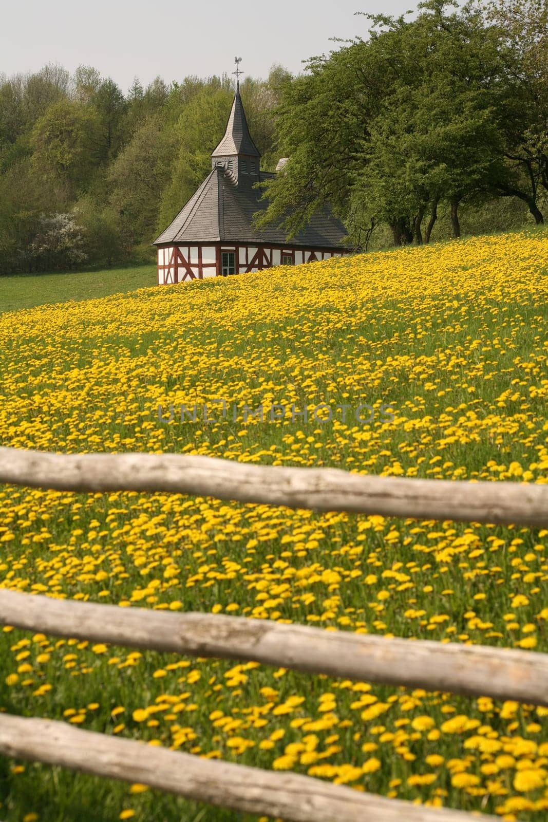 Small village chapel with dandelion meadow