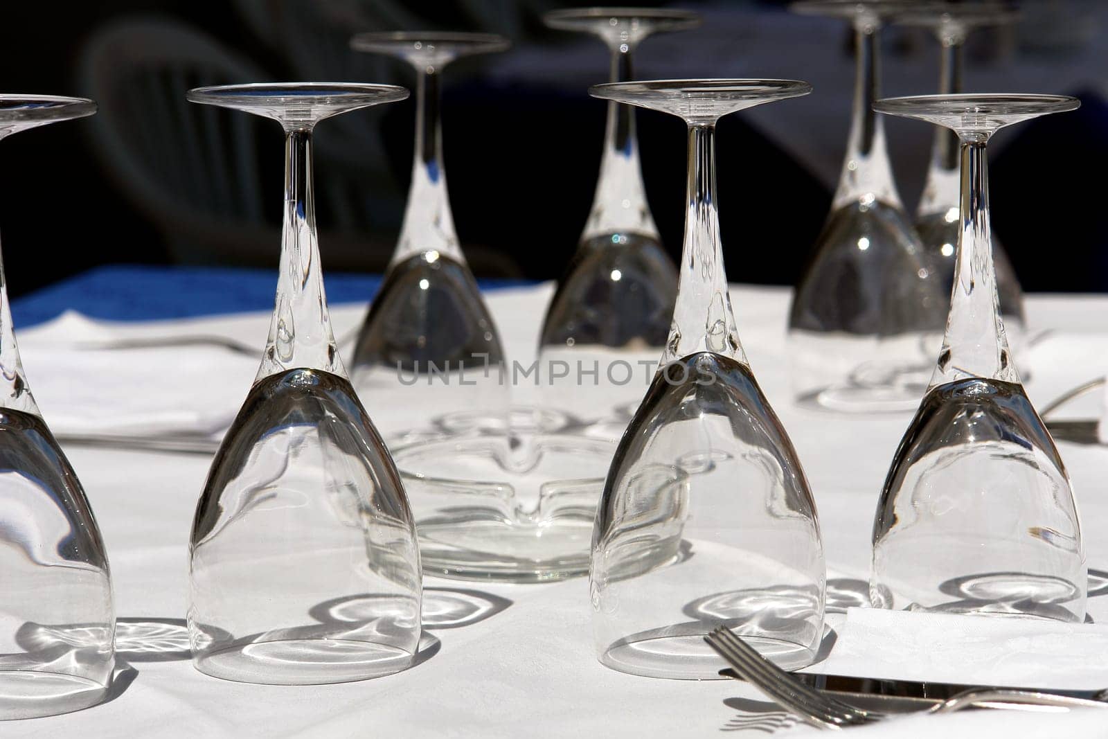 Wine glasses