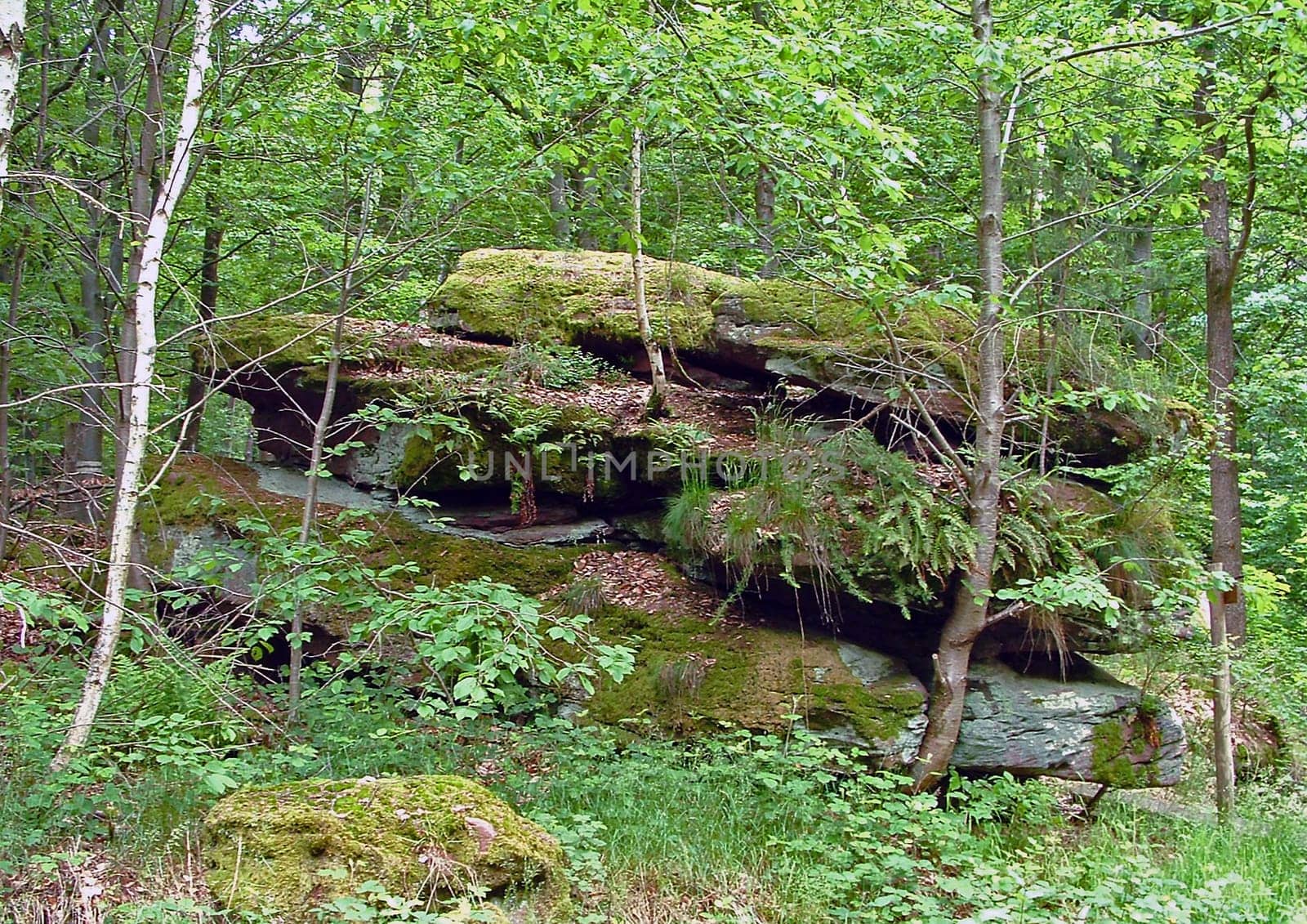 Sandstone cliffs