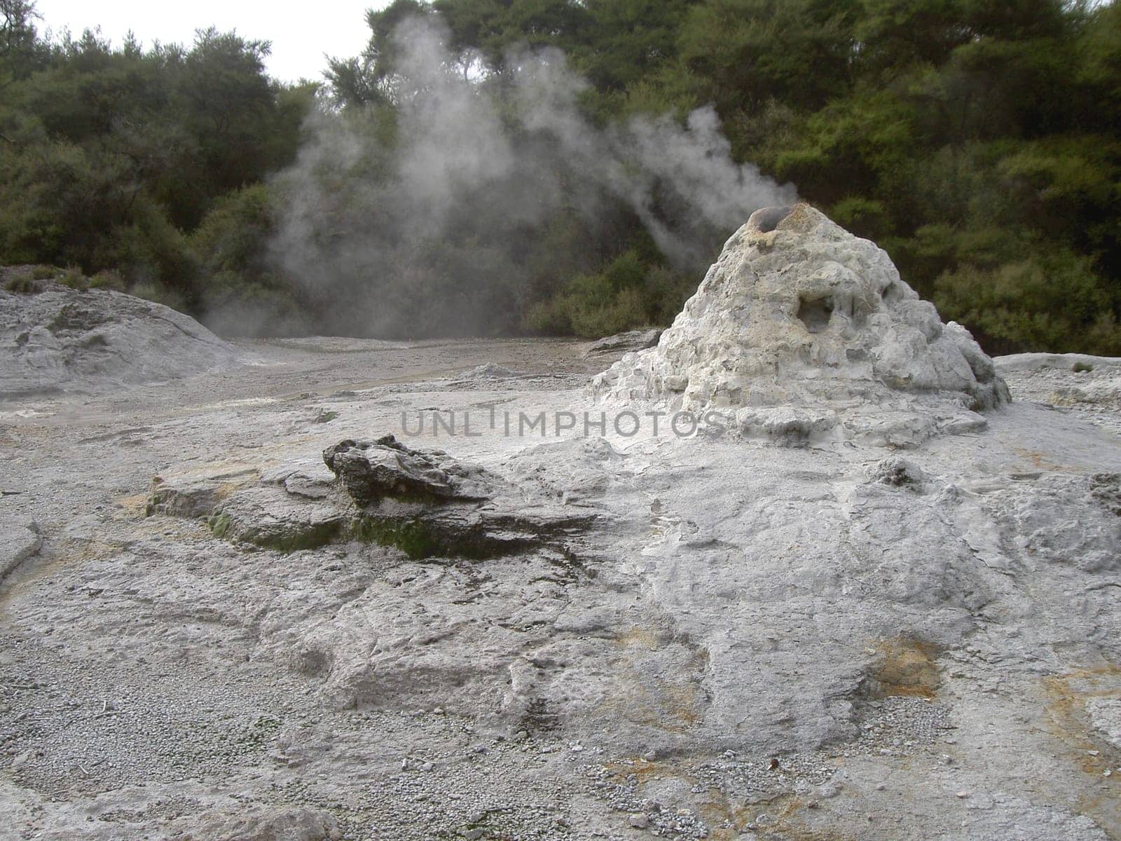Lady Knox Geyser