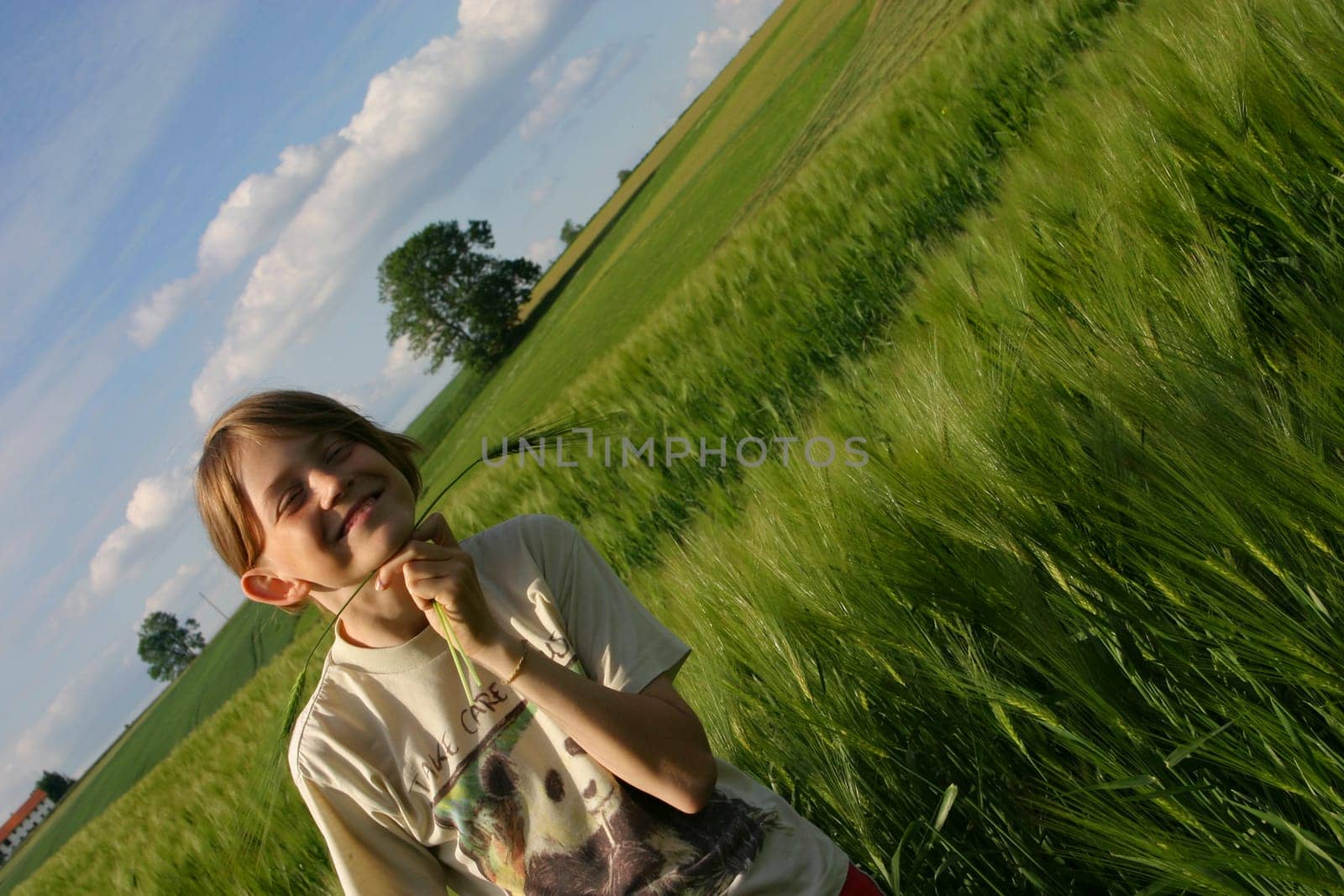 Farm Holidays