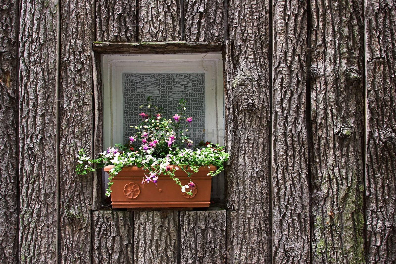 Flower Window