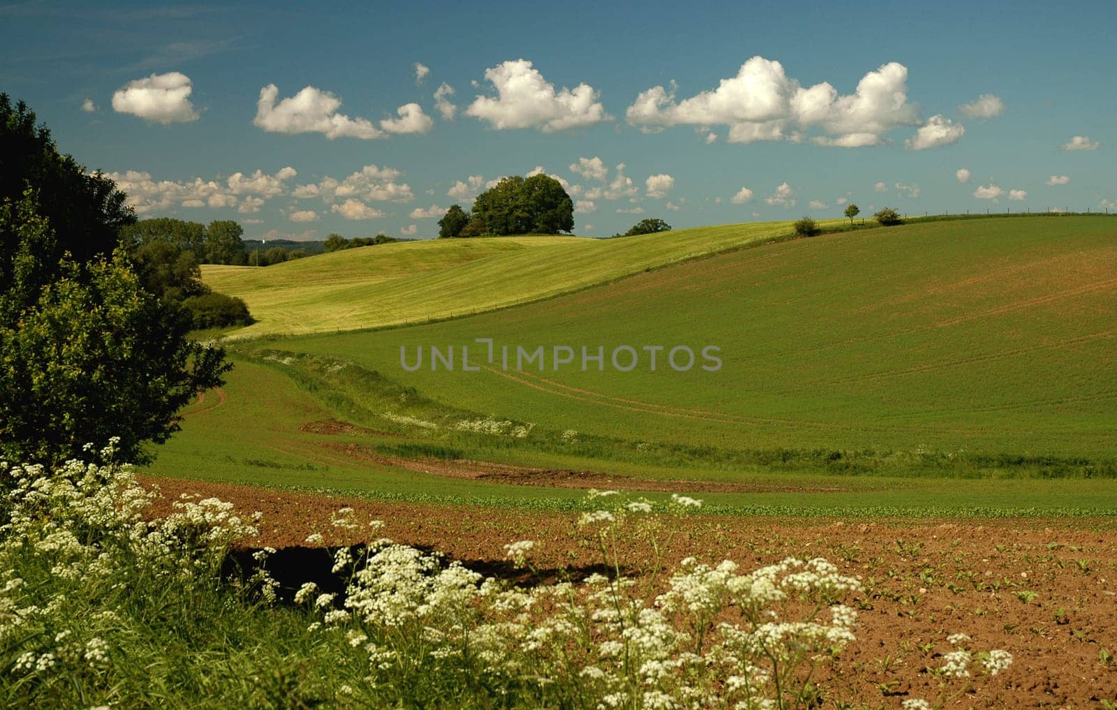 A sunny day