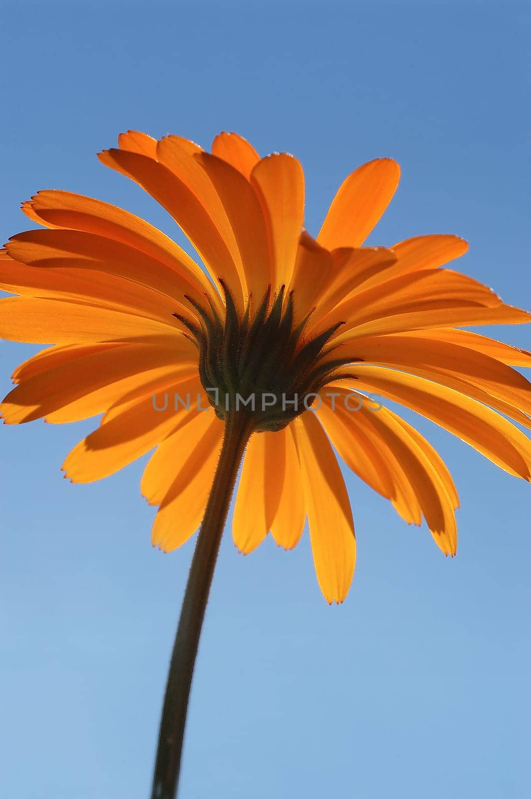 Sunshine 02