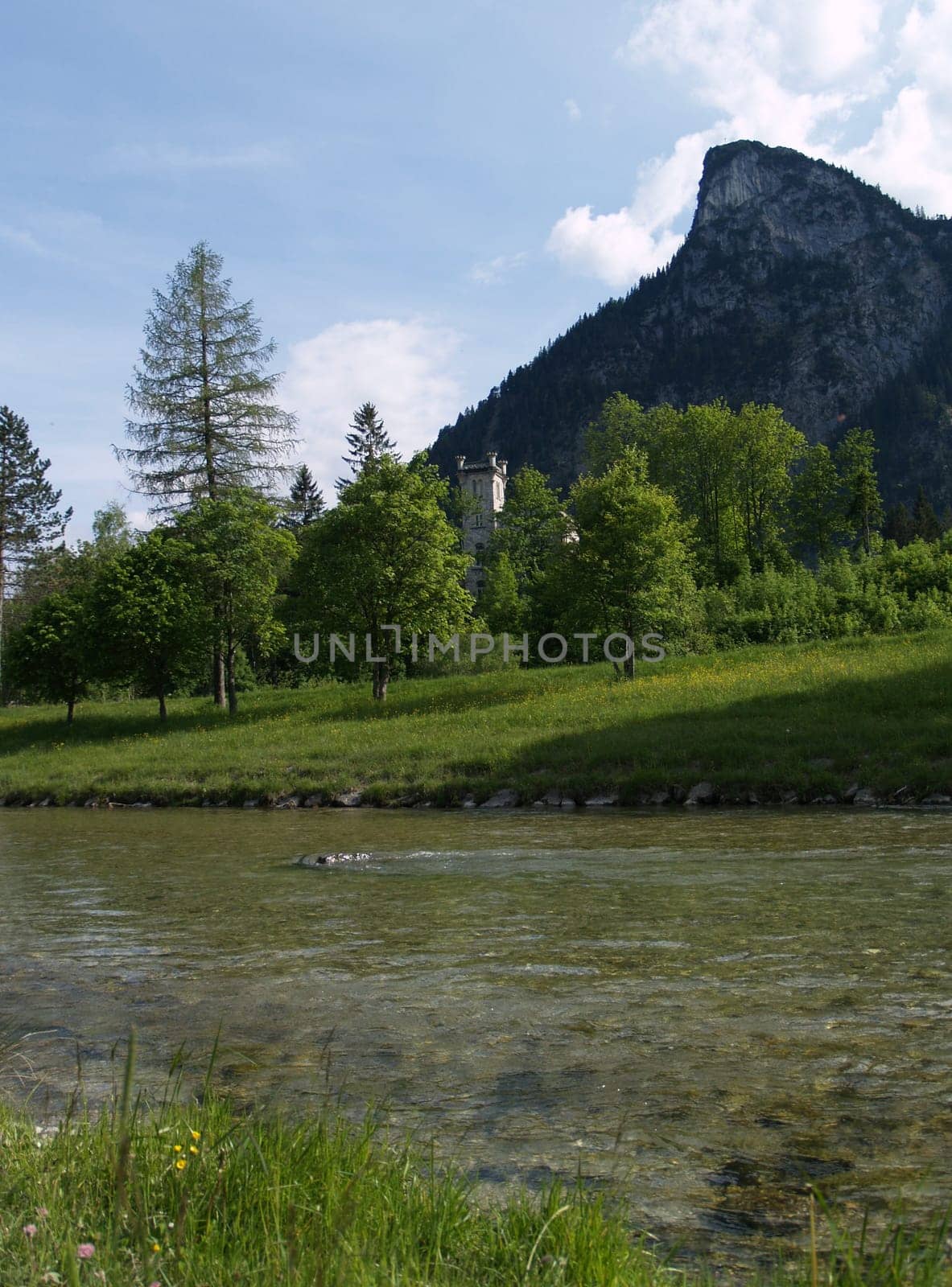 Alpine country