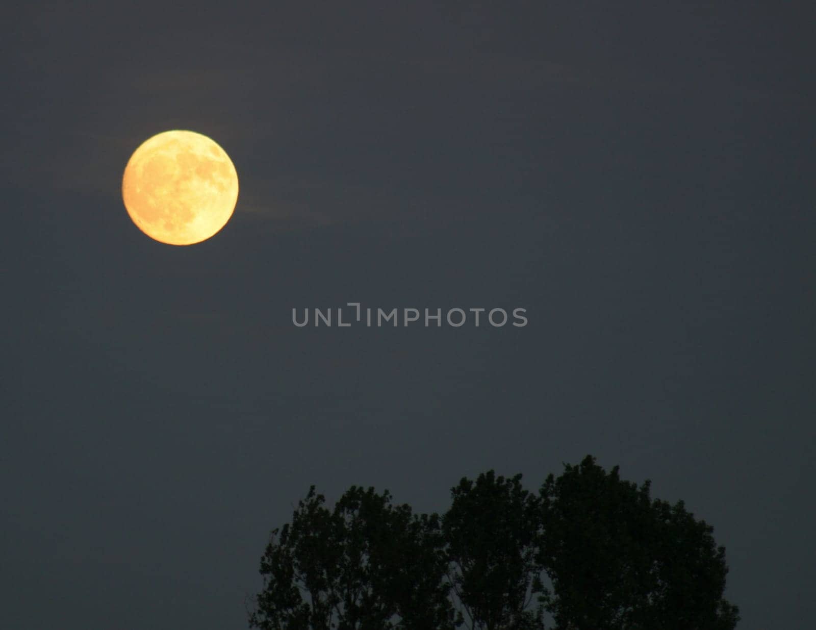 My first attempt to capture the moon photographically....
