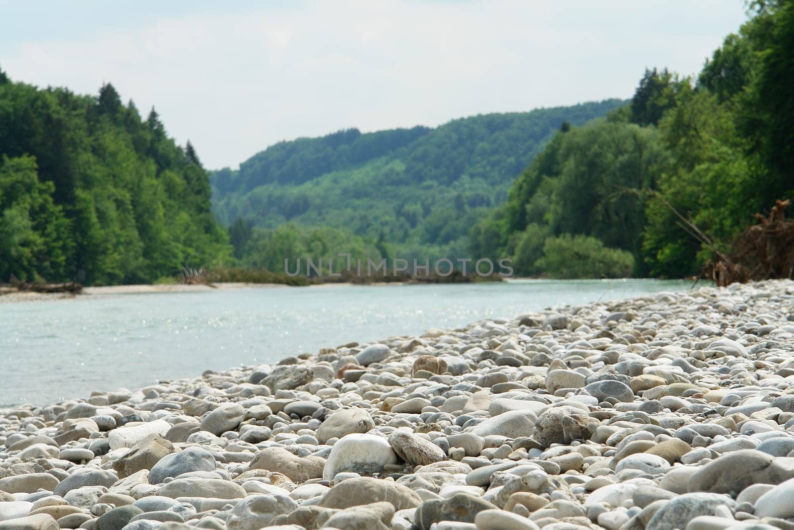 By the river