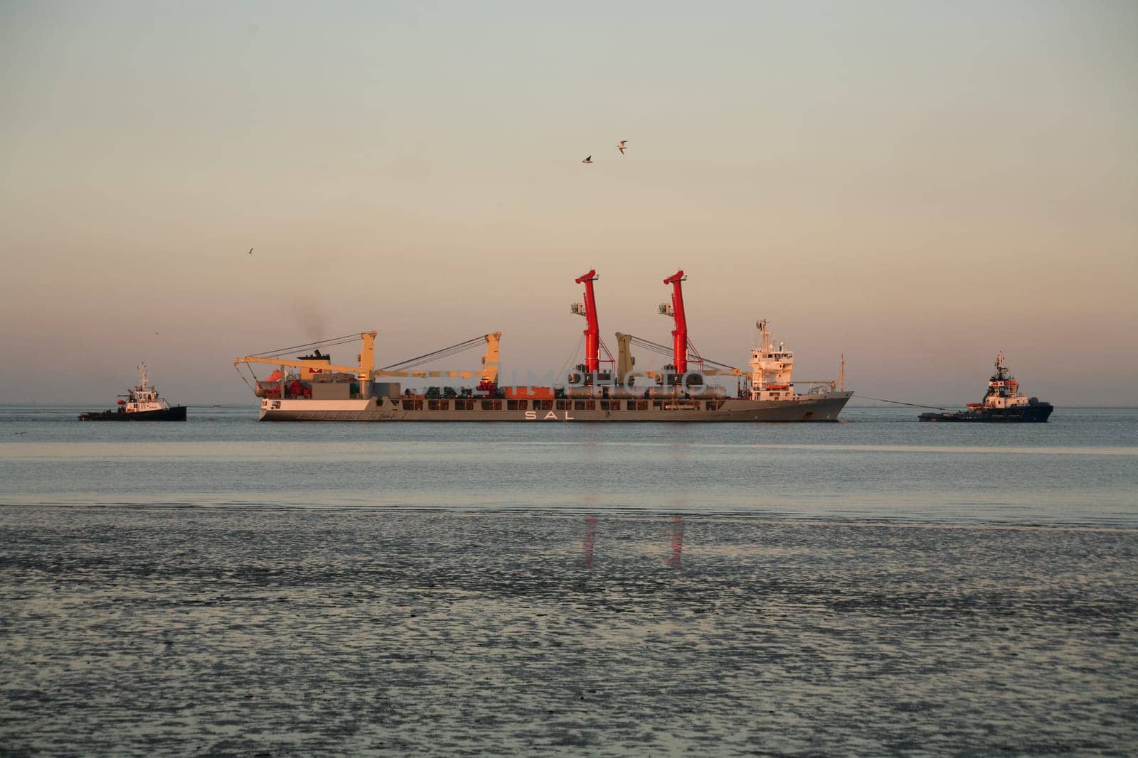 Special cargo ship "Wiebke"" with two large cranes,escorted by two tugboats"