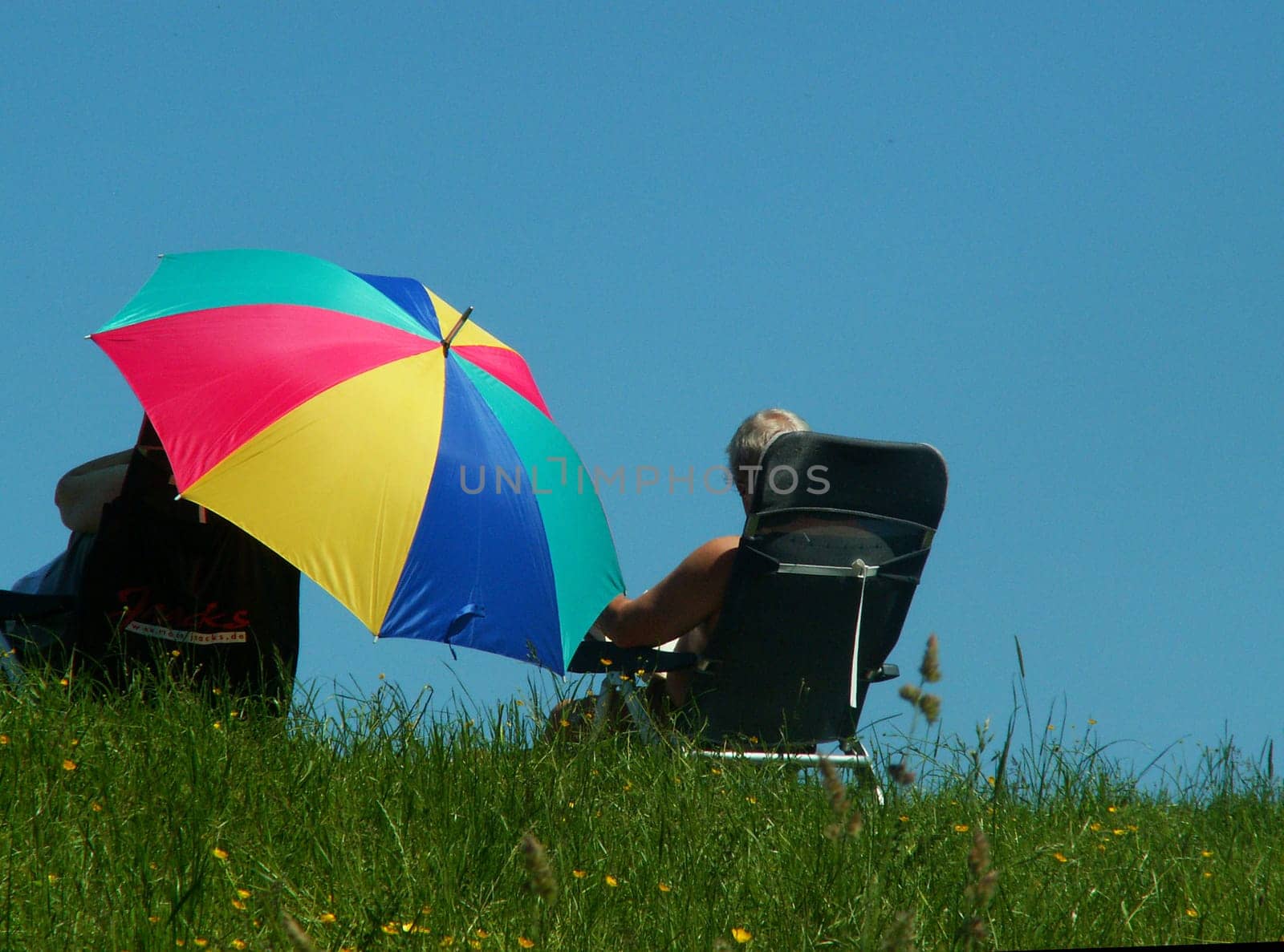 summer without food