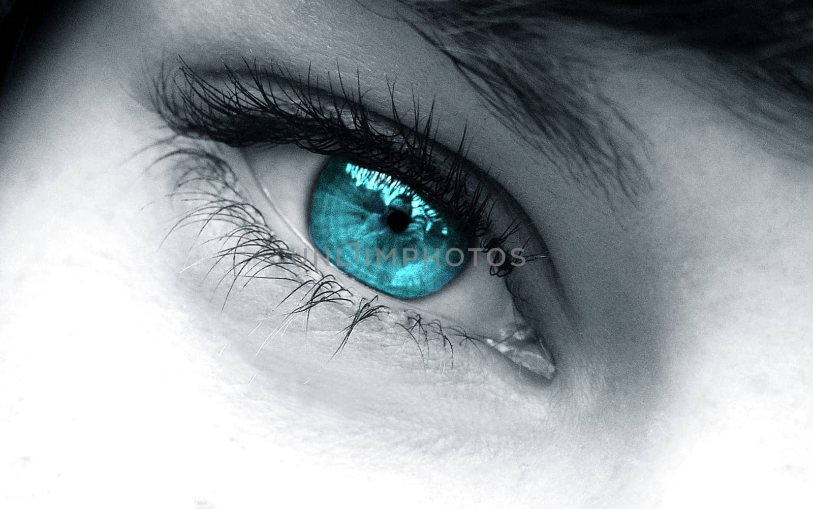 Macro shot - eye of a young woman