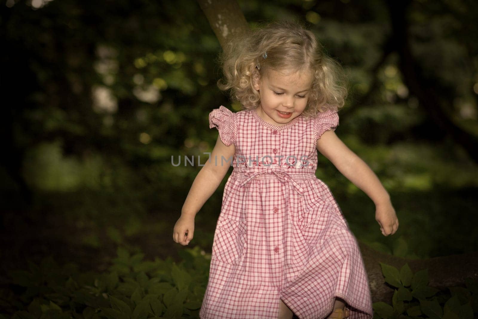 A little girl with a red checkered dress in the forest