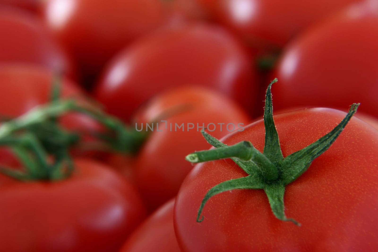 Tomatoes