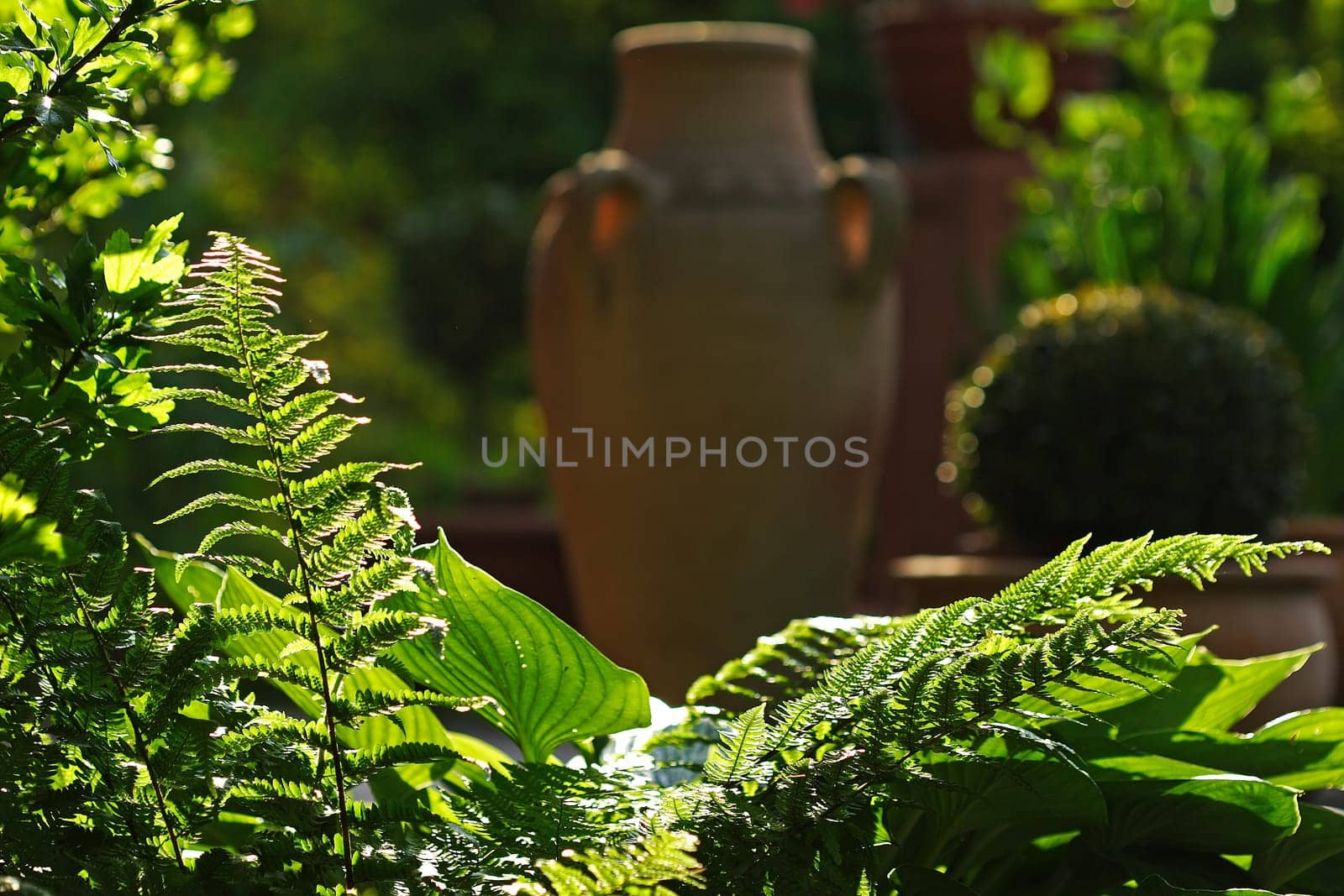 in the morning at six in the garden...