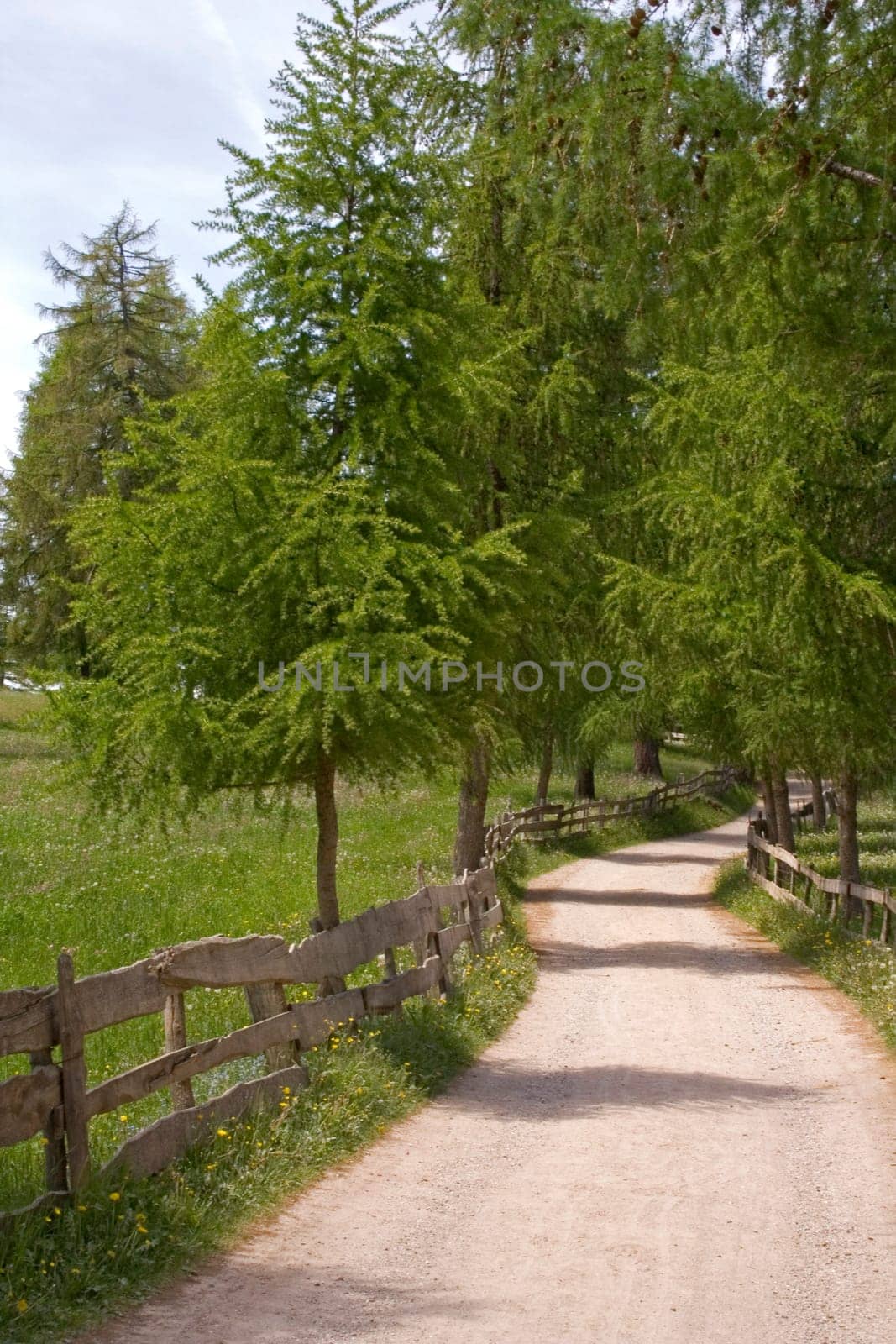 the way