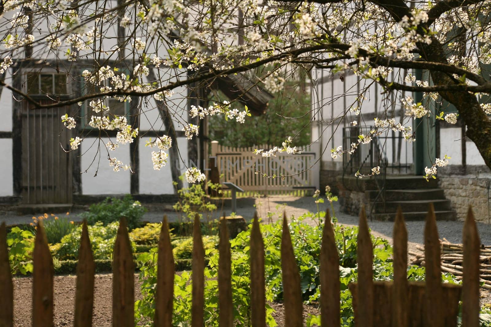 Spring in the countryside
