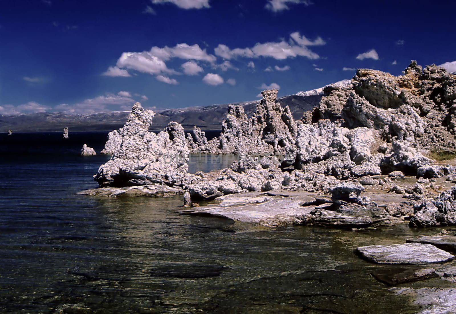 Scan of the slide