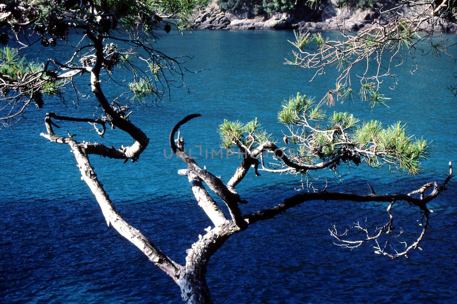 Dream coast on the Gulf of Liguria