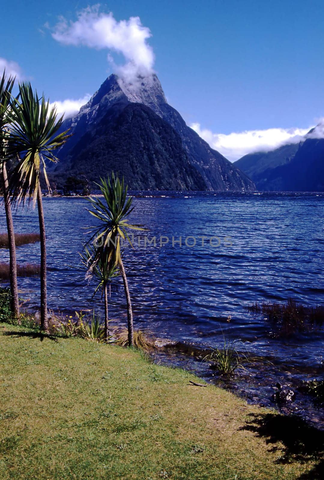 --- scan from slide with 4000 DPI (Nikon Coolscan 9000)--- The clouds at the top of the mountain make Mitre Peak look like a smoking volcano. As far as I know,the mountains of the South Island of New Zealand are not of volcanic origin,but rather of volcanic origin.