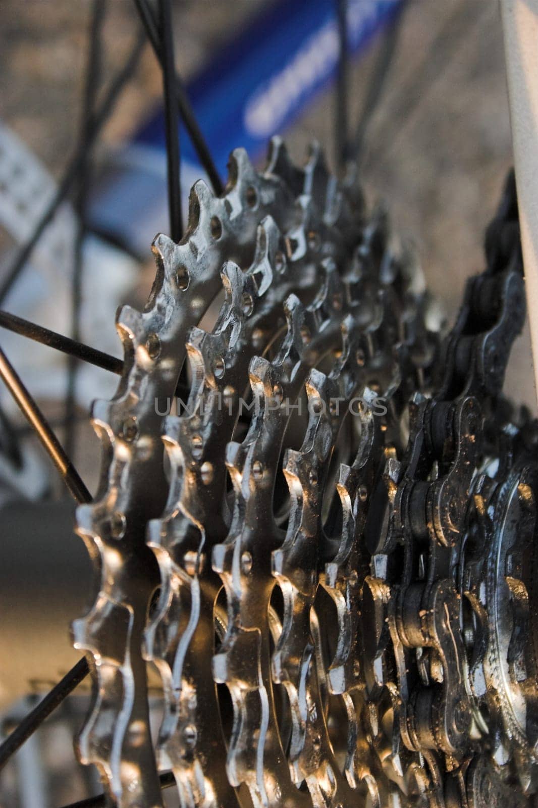 Sprocket