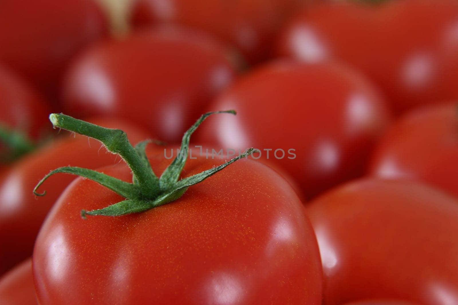 Tomatoes