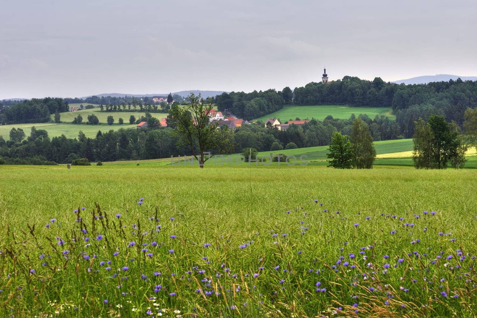 Idyll