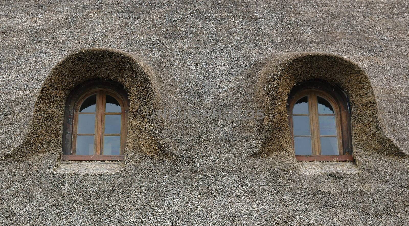 Reed roof