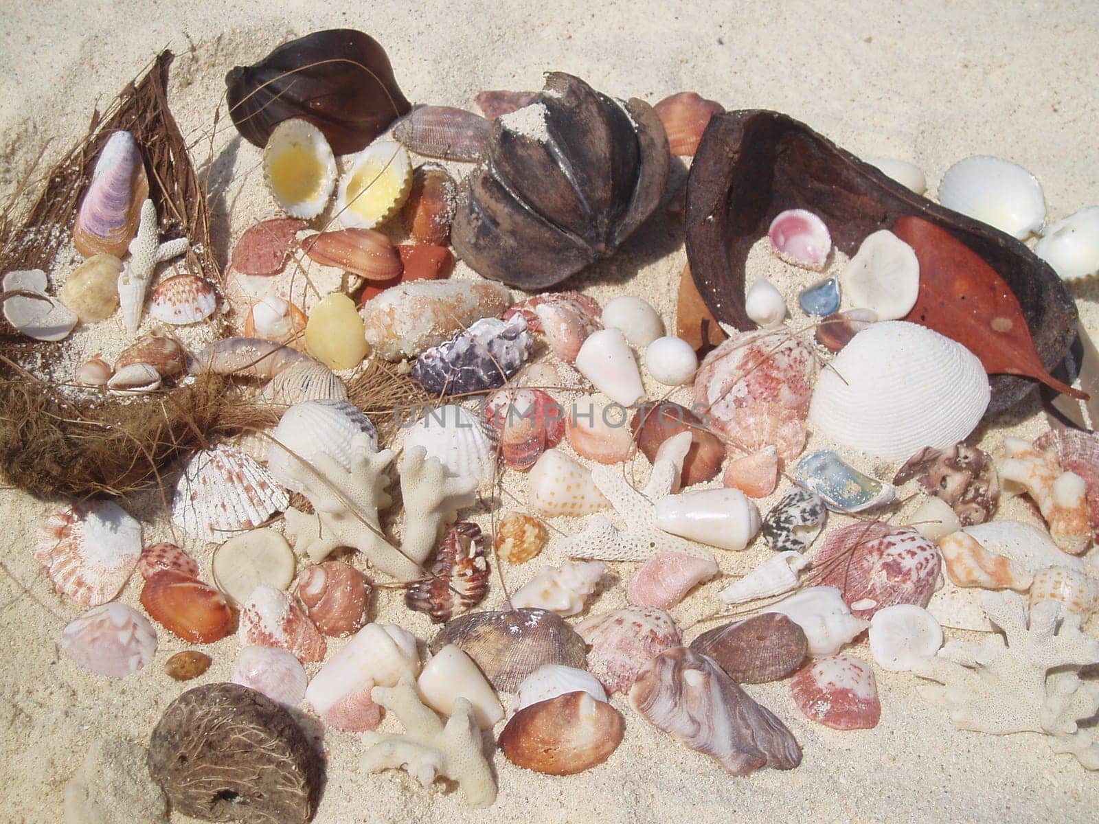 Our treasures