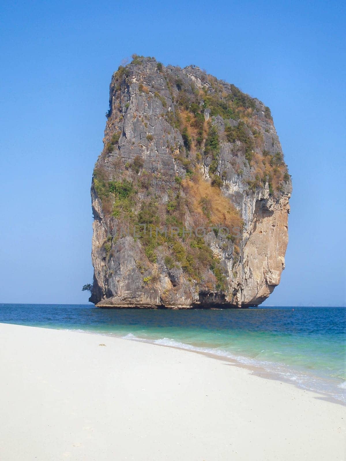 The Rock