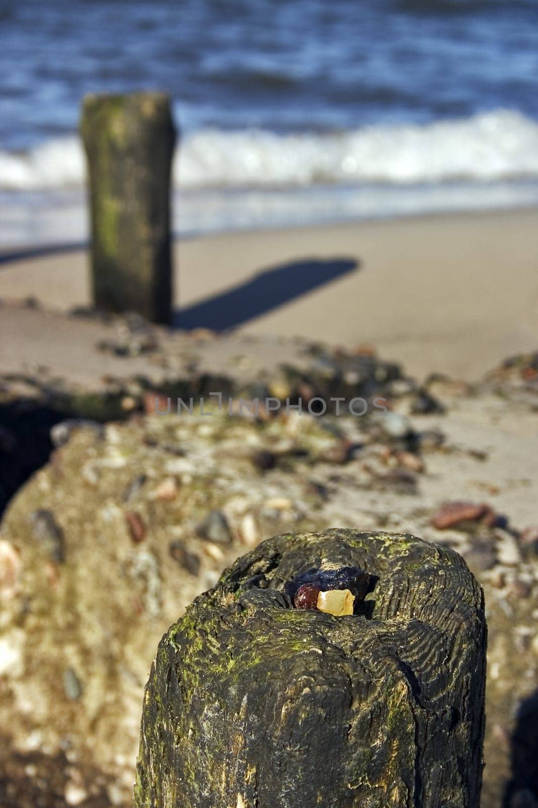 Amber find