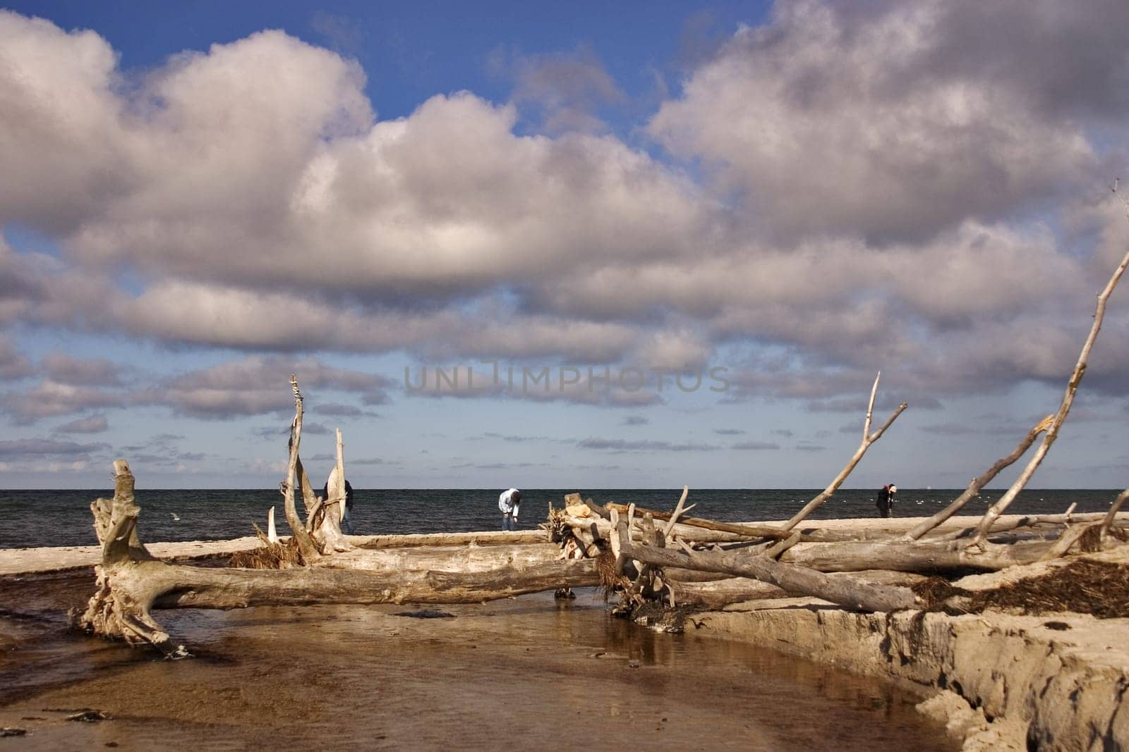 Baltic Sea coast Fischland-Darß