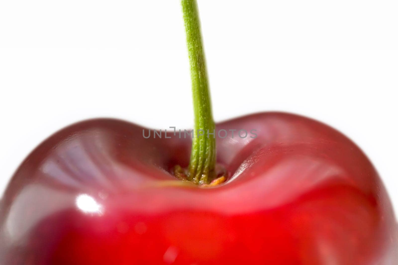 Red Cherry 06