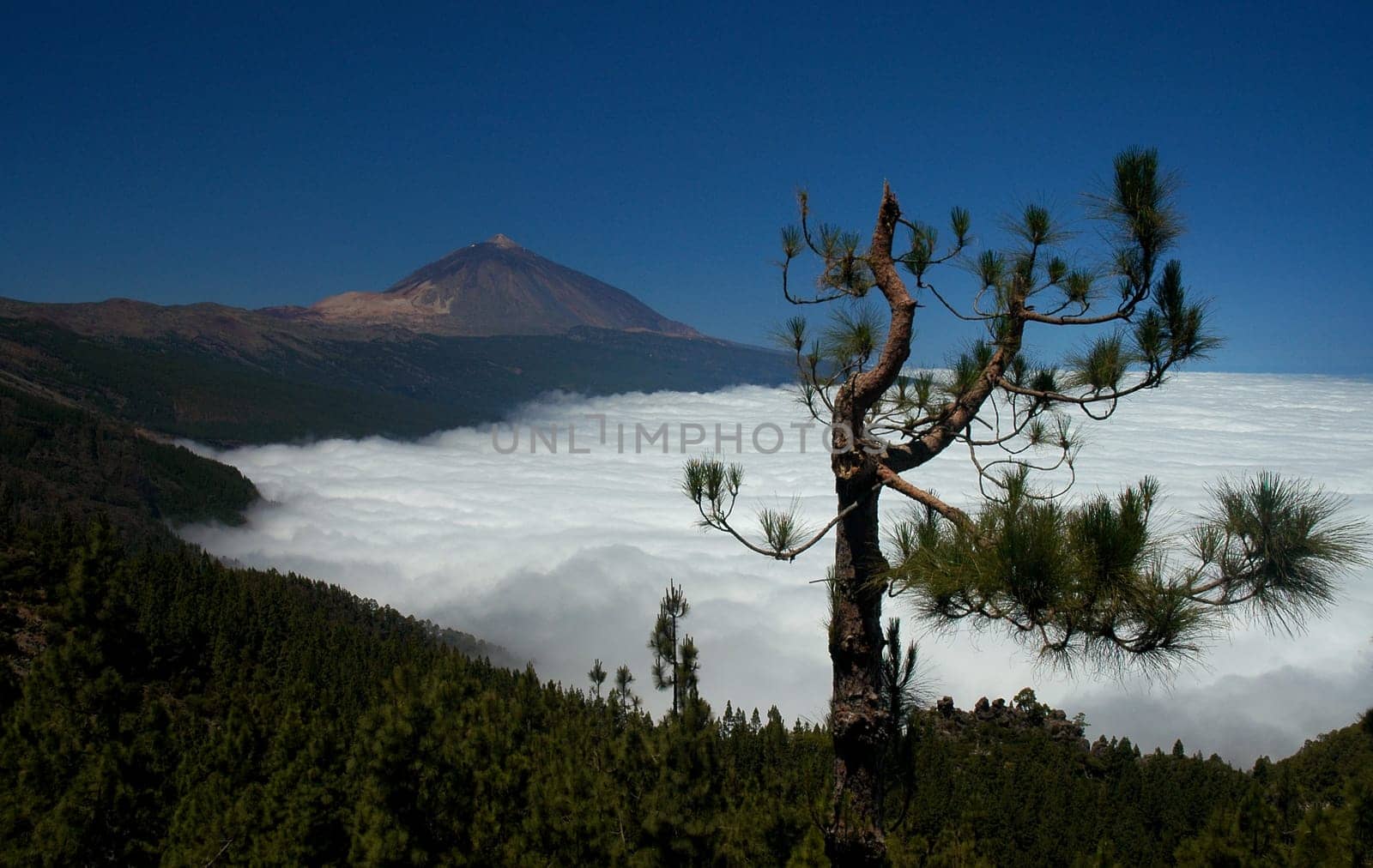 I'm back! He has been photographed so often and many pictures of him can be seen here - the landmark of Tenerife is the Pico del Teide. Only those who have stood in front of it will understand why you just have to capture it in the photo.