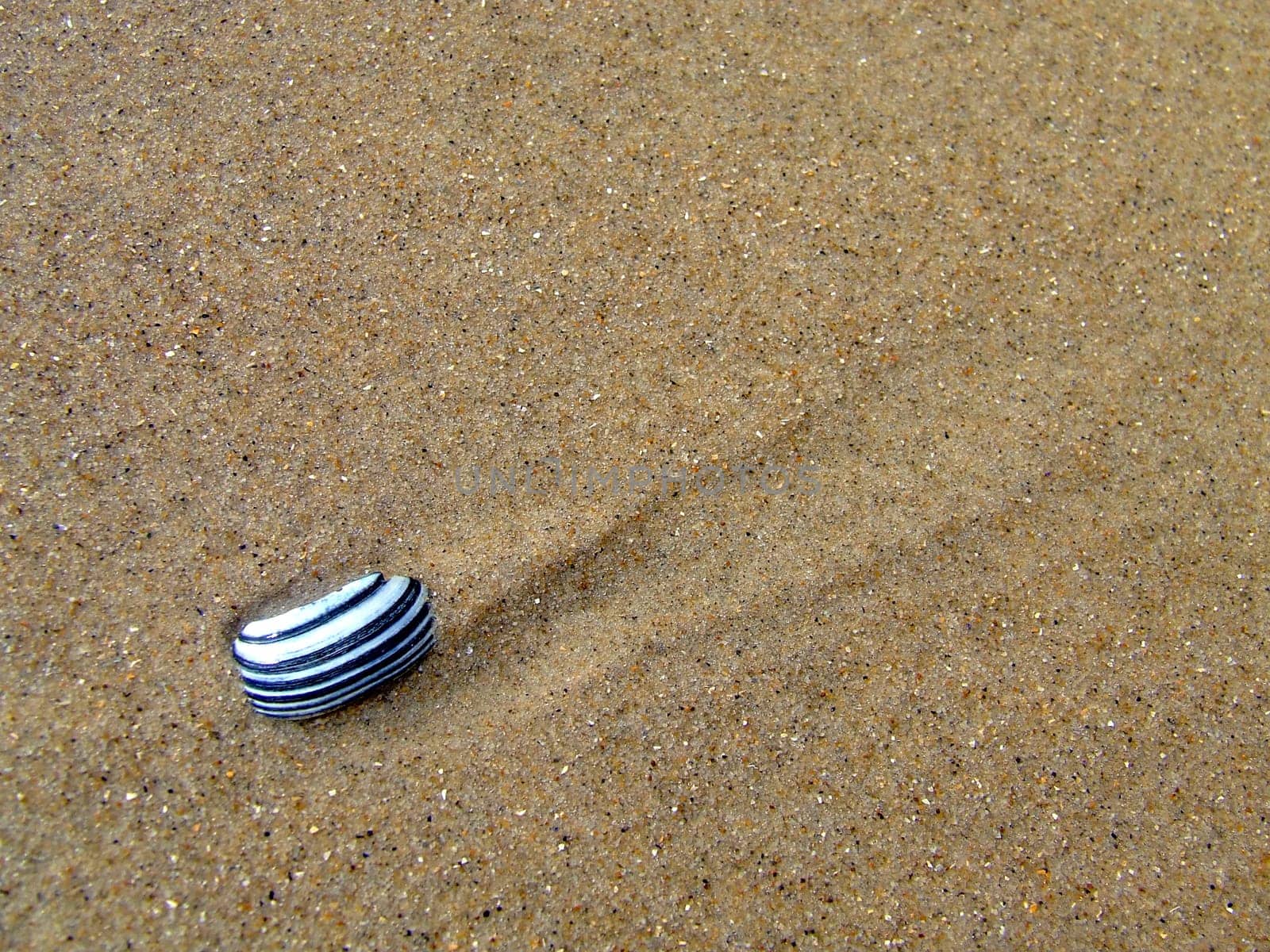 Shell piece