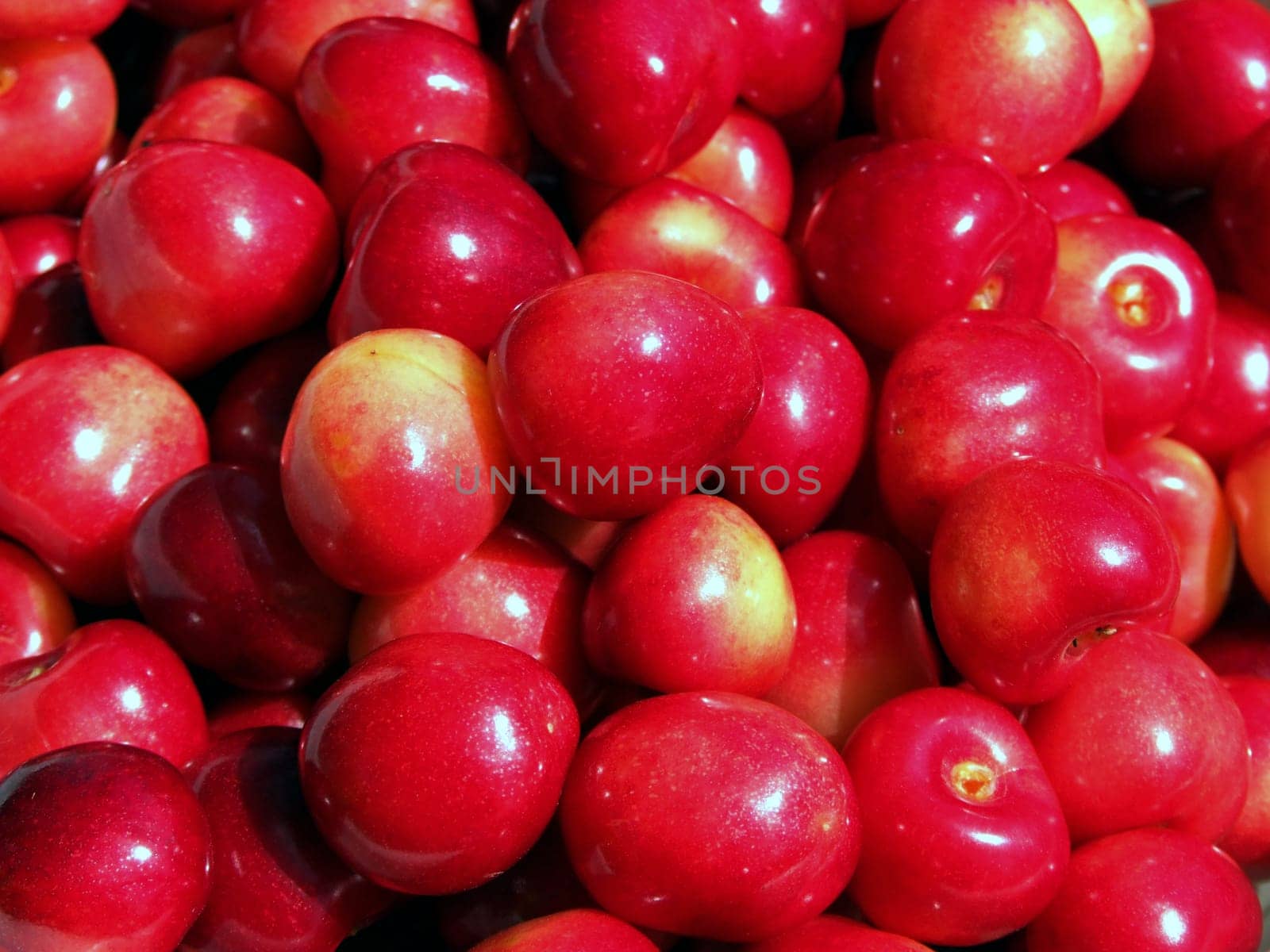 sweet fruits IV