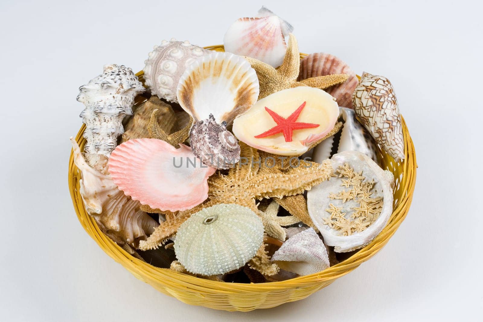 Mussel basket