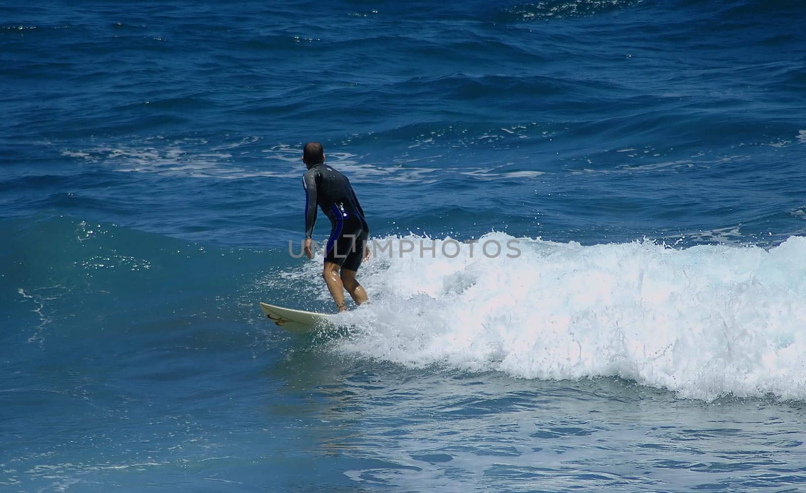 Waiting for the wave