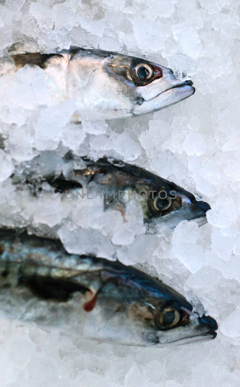 Market fish