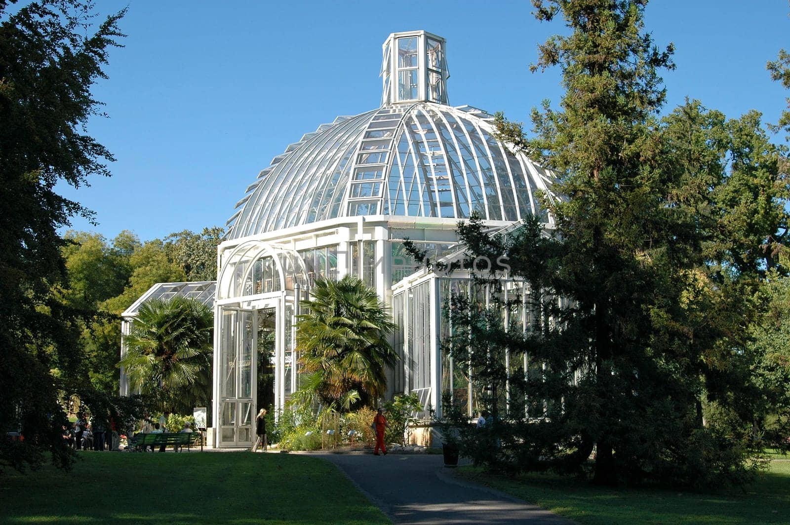 Greenhouse