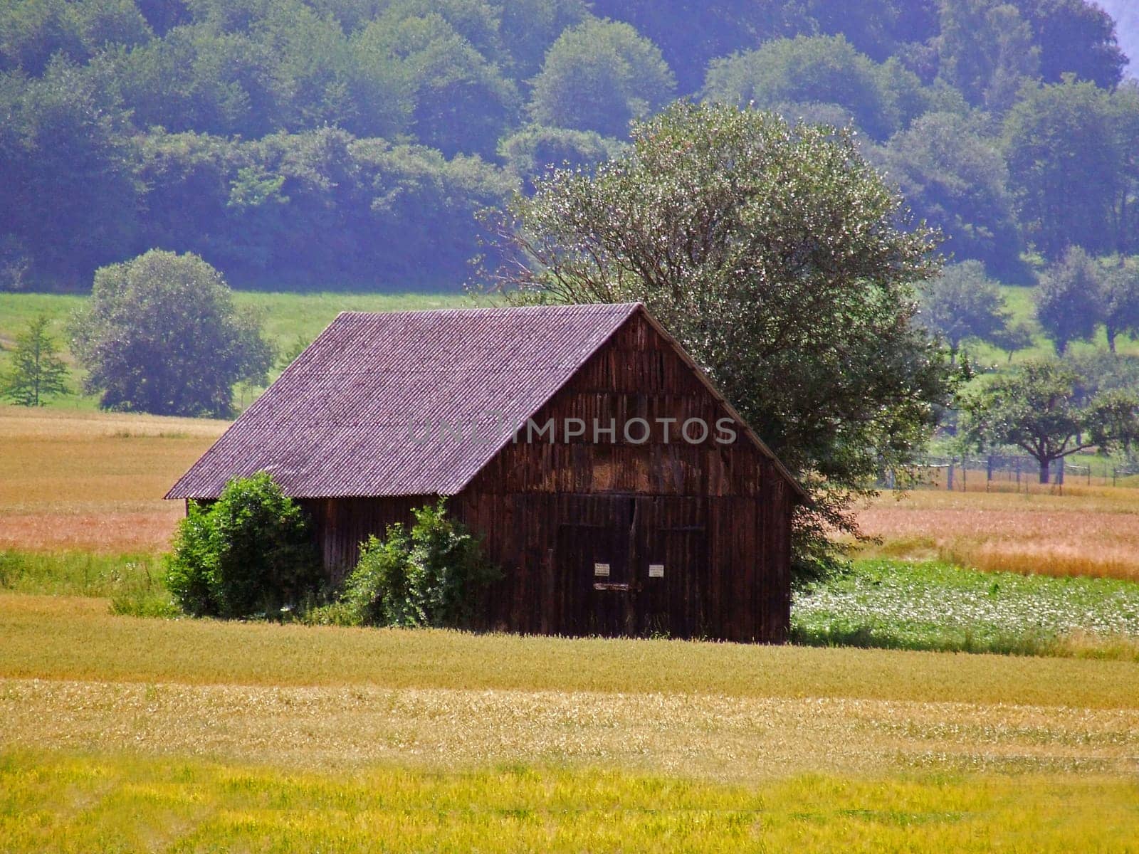 Field barn
