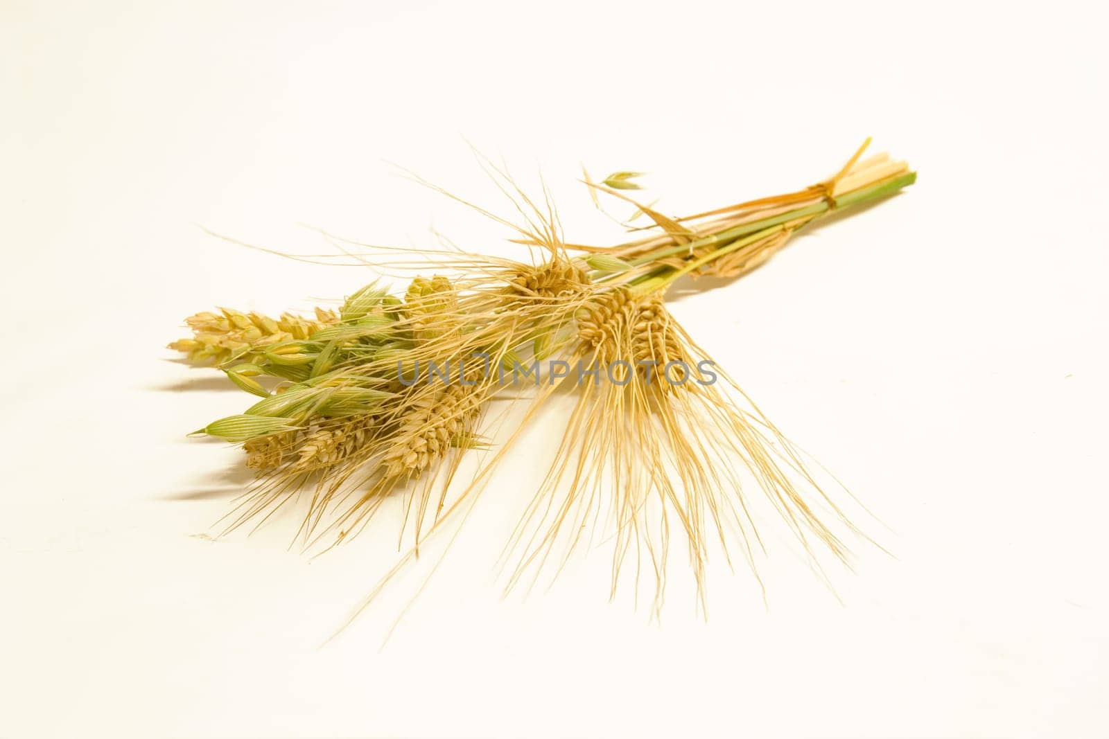 Grain Bundle 2