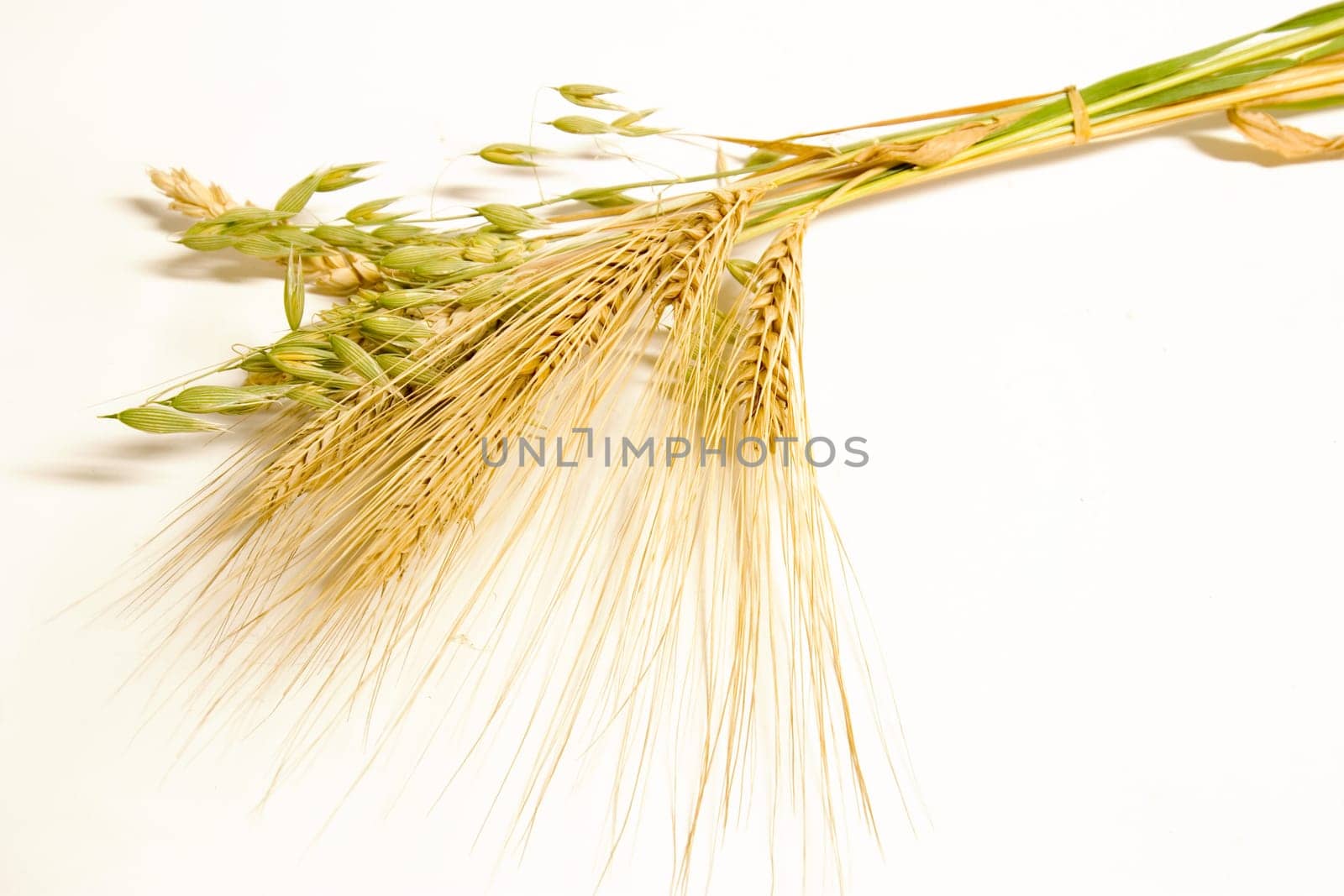 Grain bundles